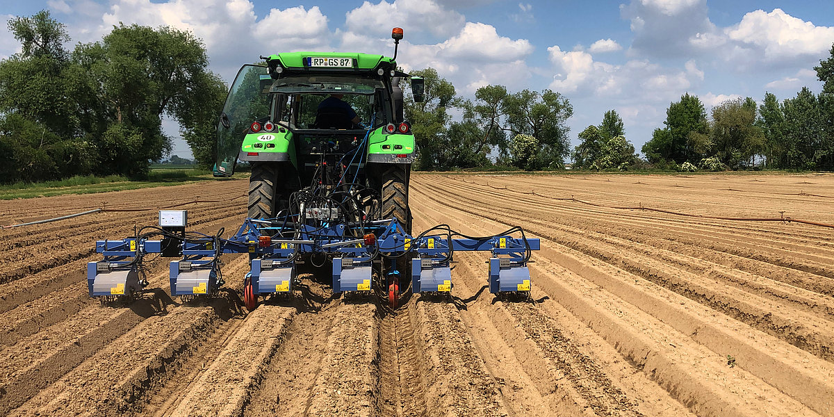 Traktor mit Heckanbau der Feldklasse Pacorel im Anbau von Karotten